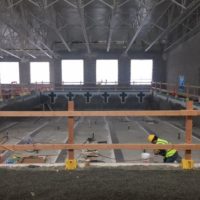 52637296_1074220846113329_4956602811765751808_n